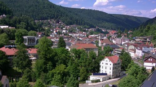 Webcam Bad Wildbad