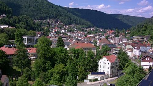 Webcam Bad Wildbad