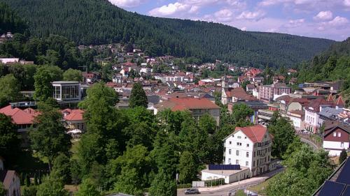 Webcam Bad Wildbad