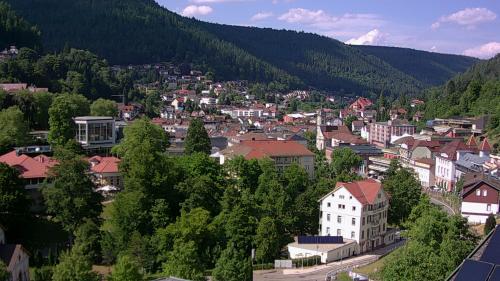 Webcam Bad Wildbad