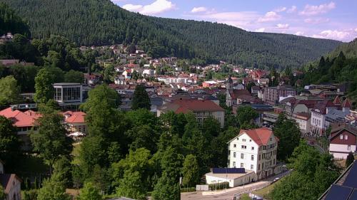 Webcam Bad Wildbad