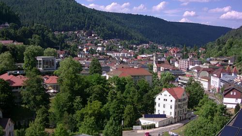 Webcam Bad Wildbad