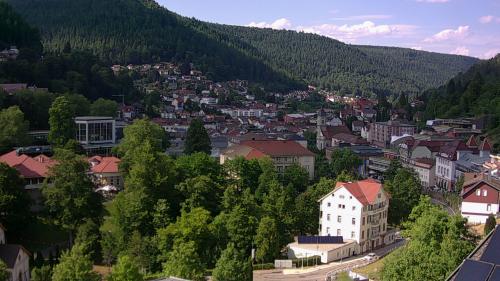 Webcam Bad Wildbad