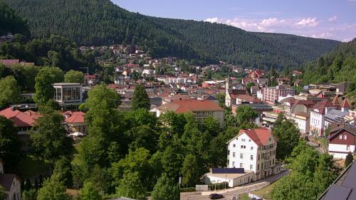 Webcam Bad Wildbad