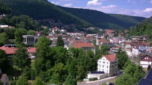 Webcam Bad Wildbad