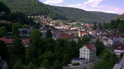 Webcam Bad Wildbad