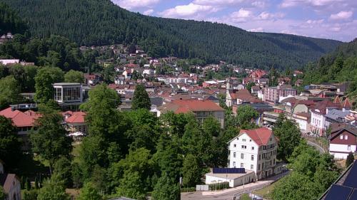Webcam Bad Wildbad