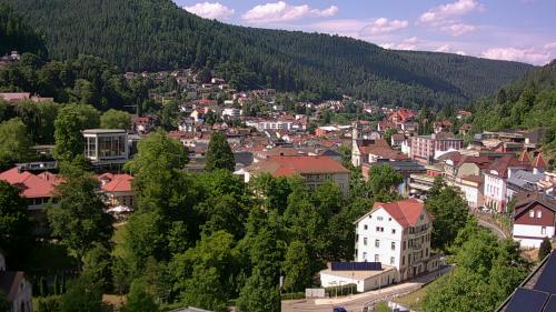 Webcam Bad Wildbad