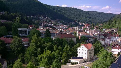 Webcam Bad Wildbad