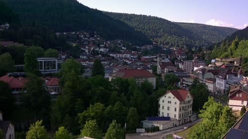 Webcam Bad Wildbad