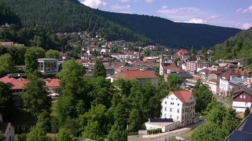Webcam Bad Wildbad