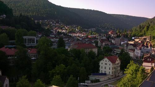 Webcam Bad Wildbad