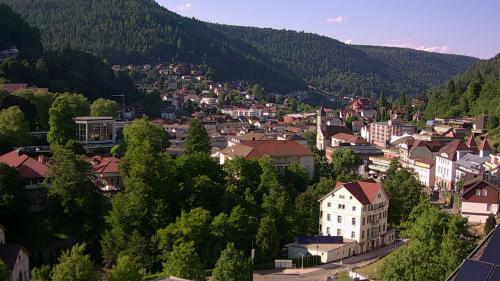 Webcam Bad Wildbad