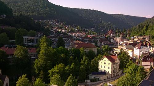 Webcam Bad Wildbad