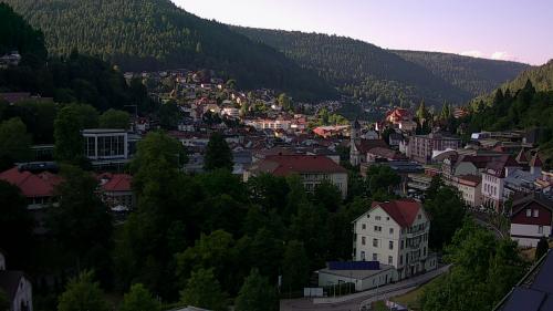 Webcam Bad Wildbad