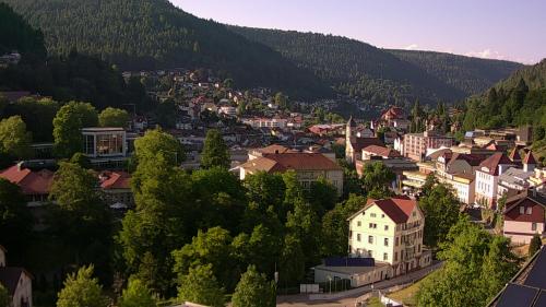 Webcam Bad Wildbad