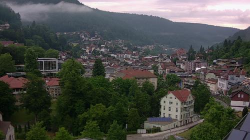 Webcam Bad Wildbad