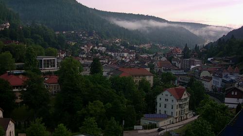 Webcam Bad Wildbad