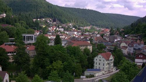 Webcam Bad Wildbad