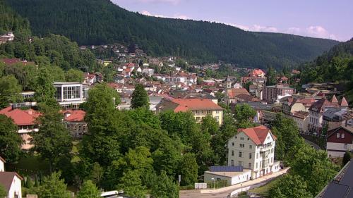 Webcam Bad Wildbad
