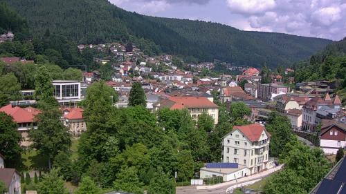 Webcam Bad Wildbad