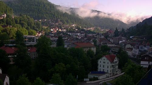 Webcam Bad Wildbad