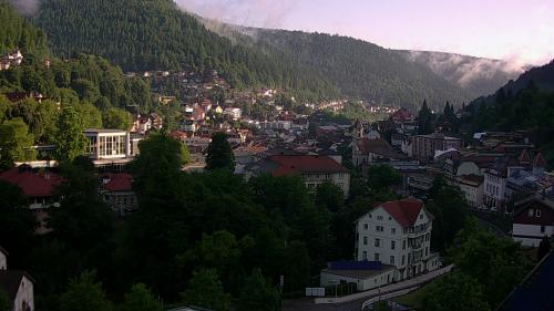Webcam Bad Wildbad
