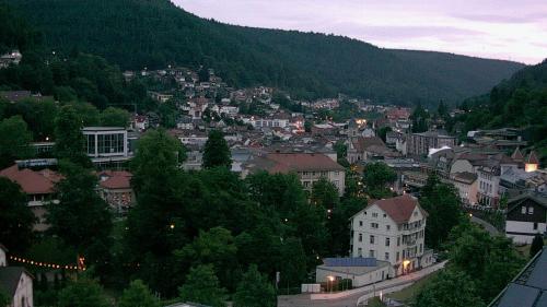 Webcam Bad Wildbad