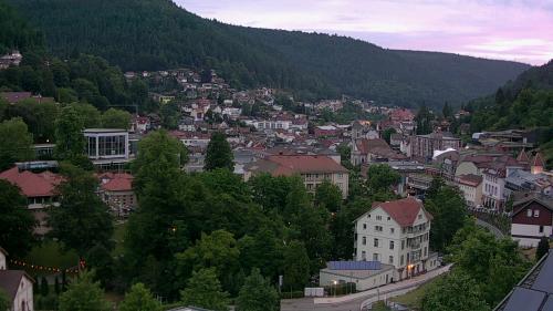 Webcam Bad Wildbad