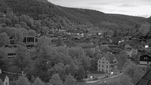 Webcam Bad Wildbad