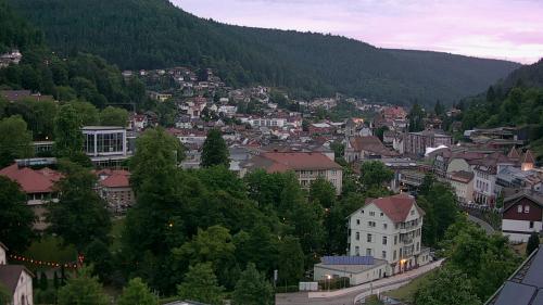 Webcam Bad Wildbad