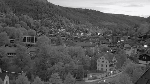 Webcam Bad Wildbad