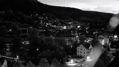 Webcam Bad Wildbad