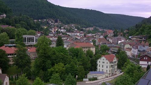 Webcam Bad Wildbad