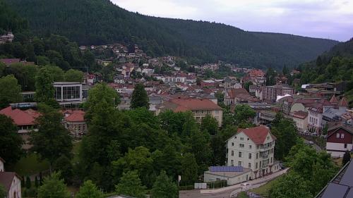 Webcam Bad Wildbad