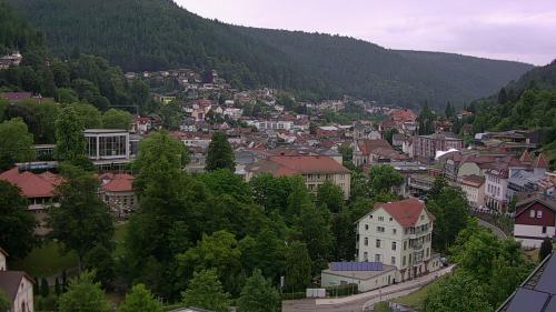 Webcam Bad Wildbad