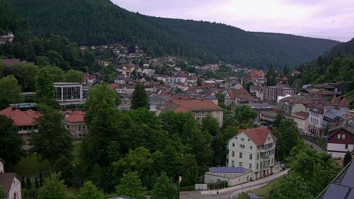 Webcam Bad Wildbad