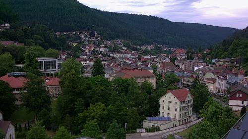 Webcam Bad Wildbad