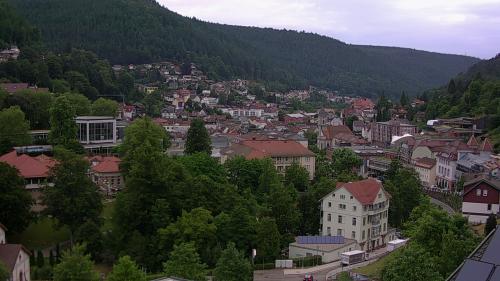 Webcam Bad Wildbad