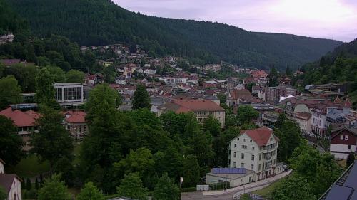 Webcam Bad Wildbad