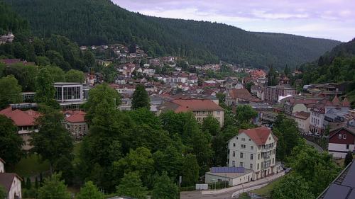 Webcam Bad Wildbad