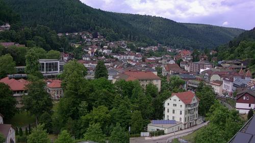 Webcam Bad Wildbad