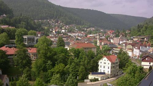 Webcam Bad Wildbad