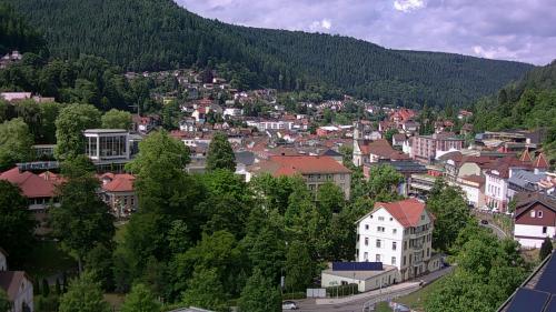 Webcam Bad Wildbad
