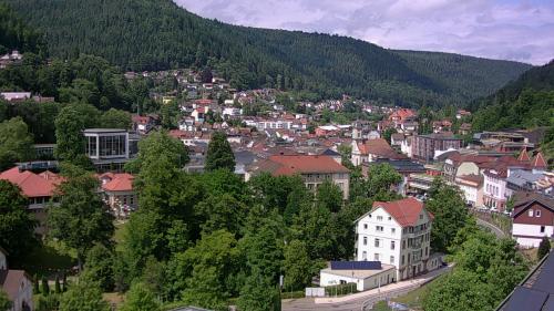 Webcam Bad Wildbad
