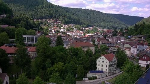 Webcam Bad Wildbad