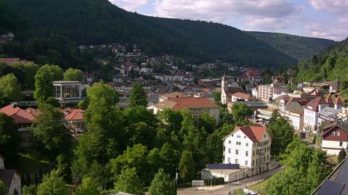Webcam Bad Wildbad