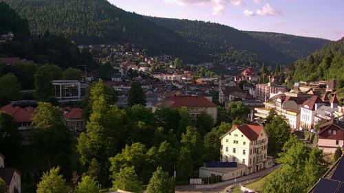 Webcam Bad Wildbad