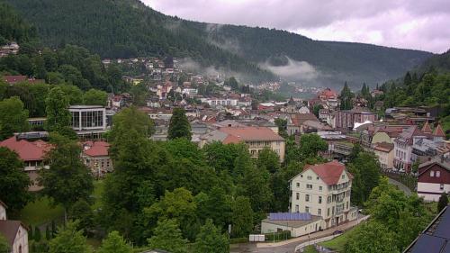 Webcam Bad Wildbad