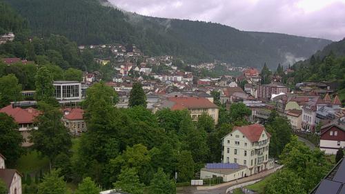 Webcam Bad Wildbad